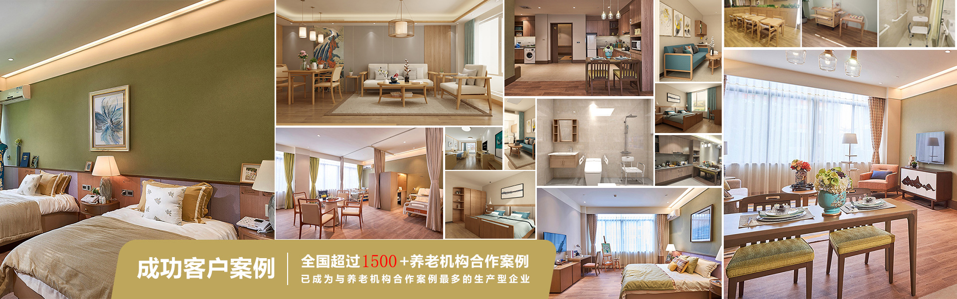 医养项目案例