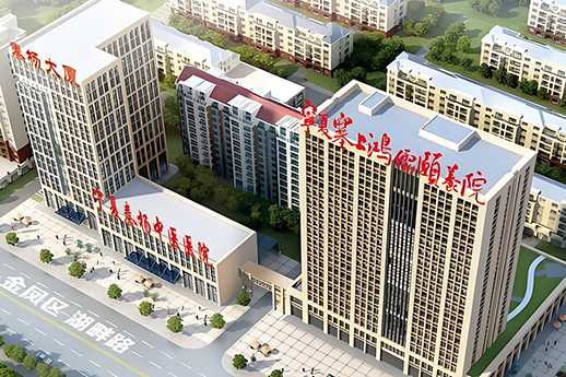 宁夏塞上鸿儒颐养院