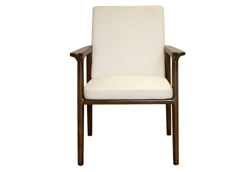 适老扶手椅（清和）