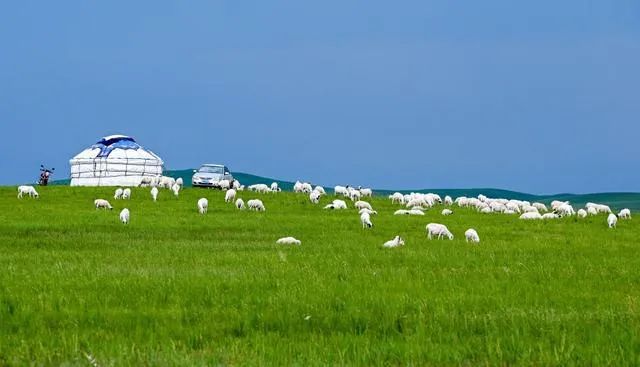 1680070680381575.jpg 640 (6).jpg