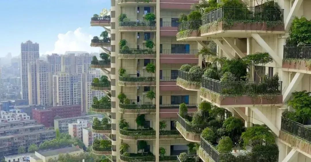 1743391743391118.jpg 31cae164e235899a10f887f20202d62a.jpg