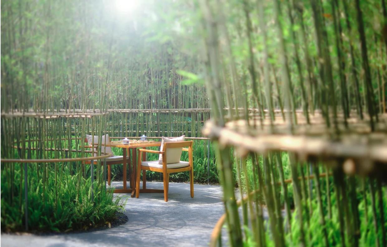 1747030108133704.jpg 环境.jpg