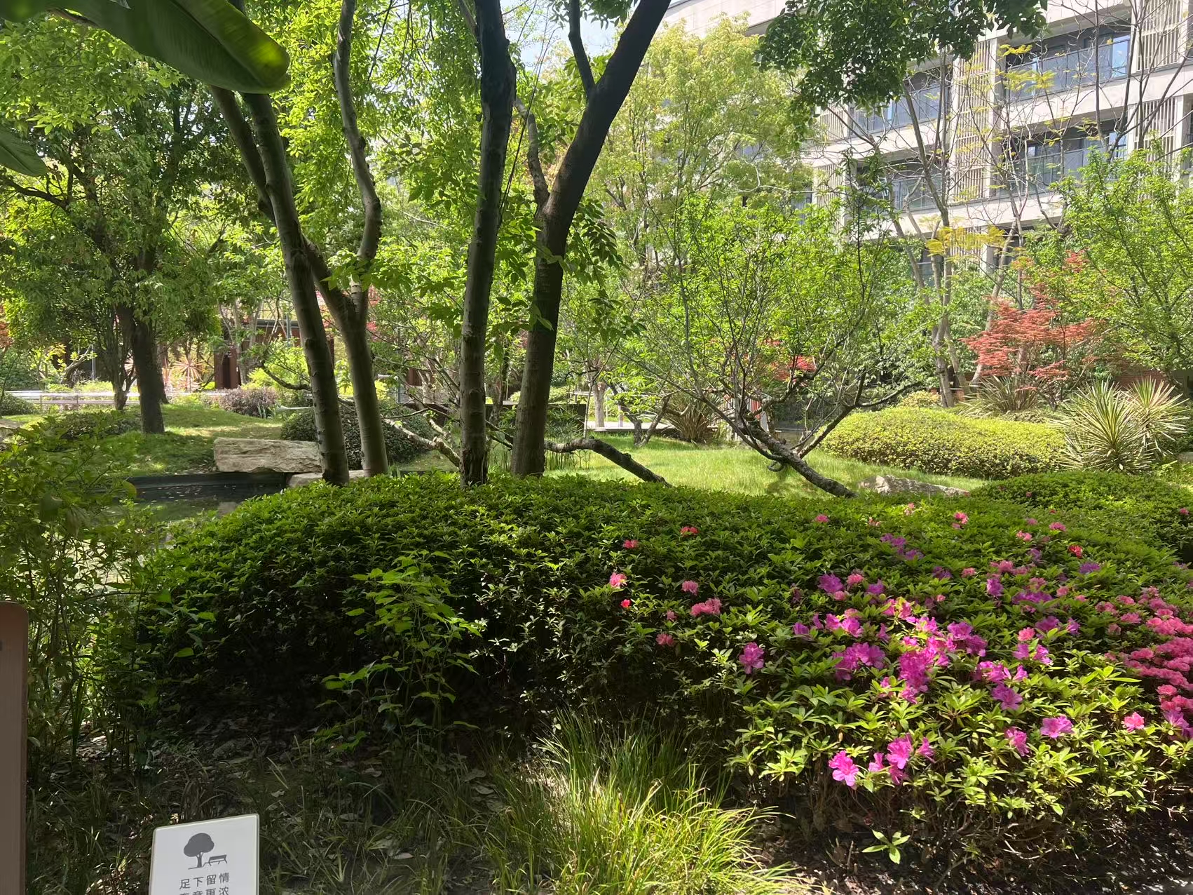 1747030116279369.jpg 微信图片_20250509133712.jpg