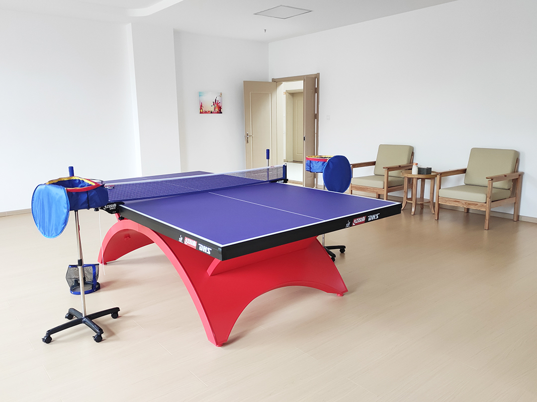 乒乓球台 乒乓球台